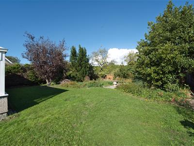 Picture 21